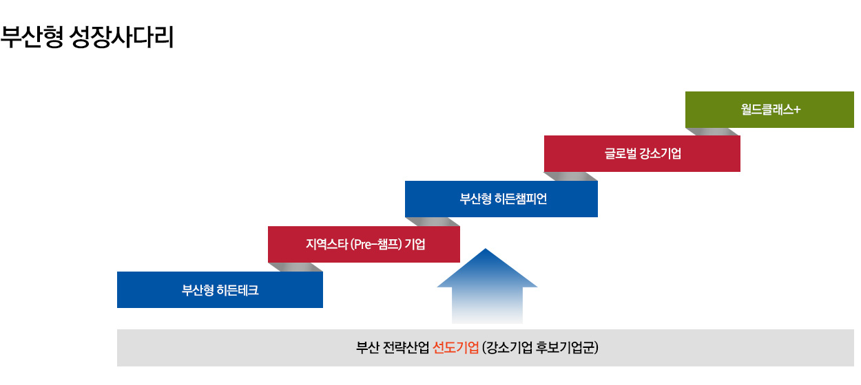 부산형 성장사다리 기업육성 정책 부산대표창업기업 에이스 스텔라, 선도기업(강소기업 후보기업군) - Pre-스타(히든테크), 지역스타(Pre-챔프),부산형 히든챔피언, 글로벌강소기업, 월드클레스+ 